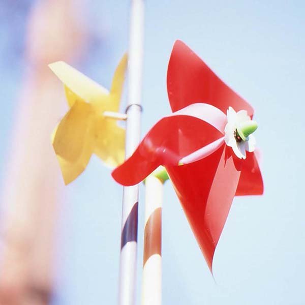Pinwheels Pinwheels