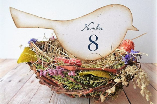 Birds Nests Birds Nests