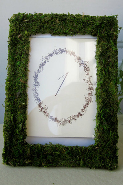 Moss Frames Moss Frames