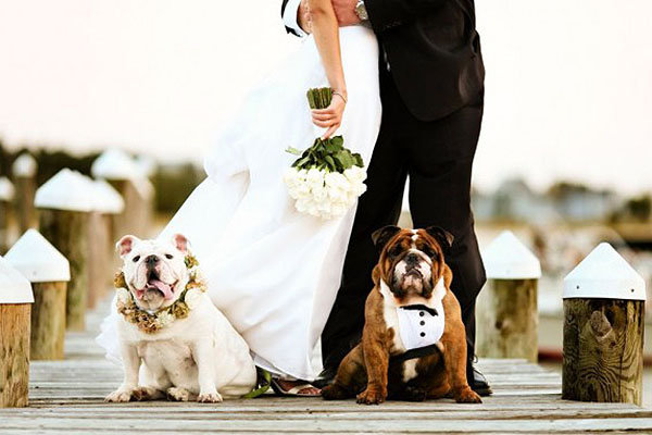 A Ravishing Reception A Ravishing Reception