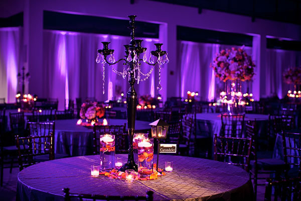 A Ravishing Reception A Ravishing Reception