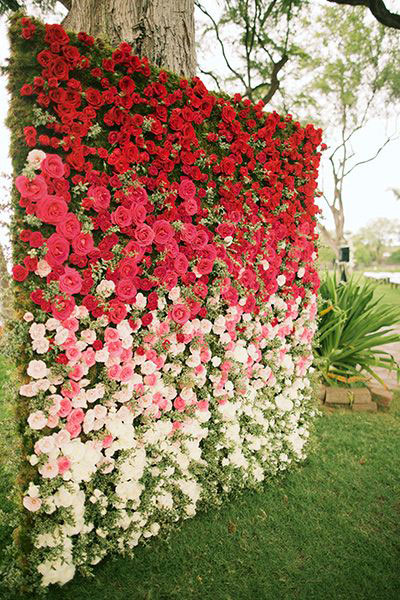 Flower Wall Ideas