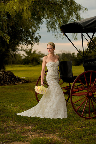 The Complete Look From the Front