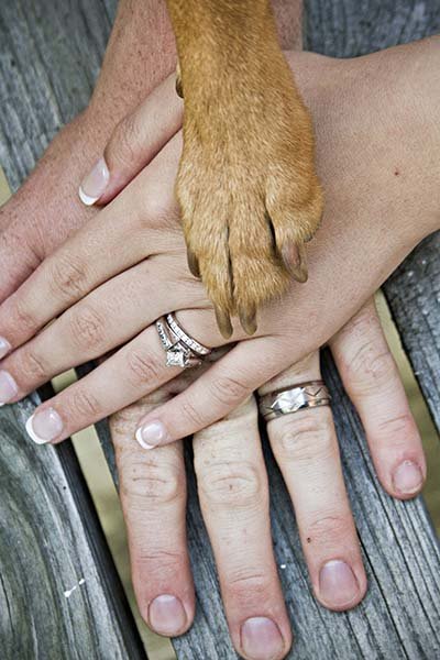 Pets Pets