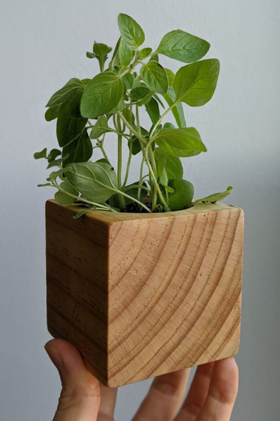 New Hobby: Gardening