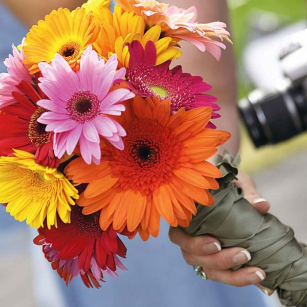 gerbera daisy bridal party bouquet
