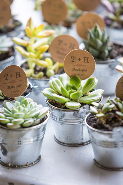 Favors: Succulents Favors: Succulents