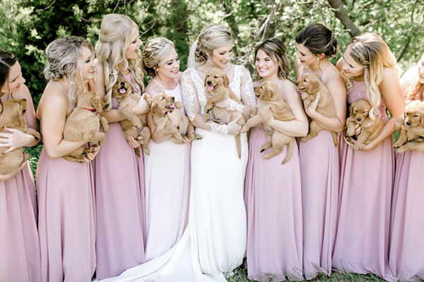 Wedding Party Wedding Party