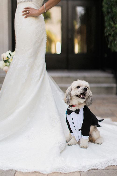 Wedding Party Wedding Party