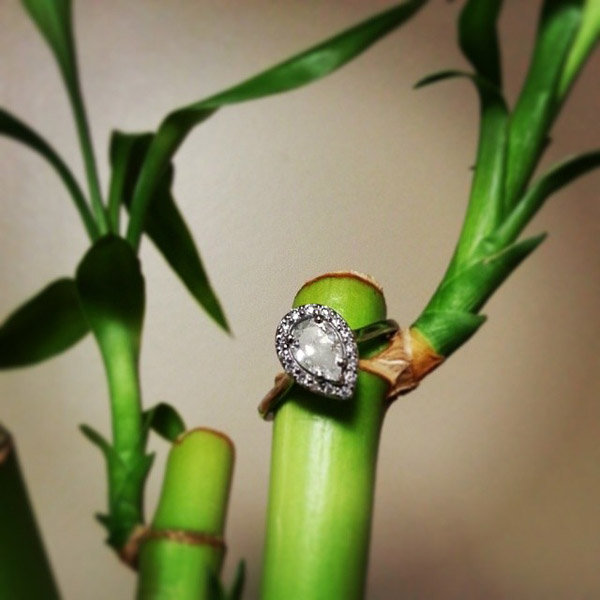 Halo Engagement Ring From Alex Wolfe