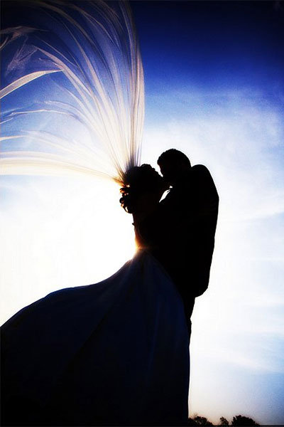 A Spectacular Silhouette Shot A Spectacular Silhouette Shot