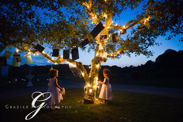 Whimsical Touches Whimsical Touches