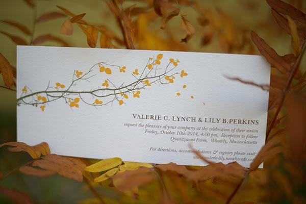 Modern Shapes and Sizes