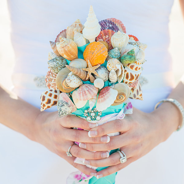 Seashells & Starfish Seashells & Starfish