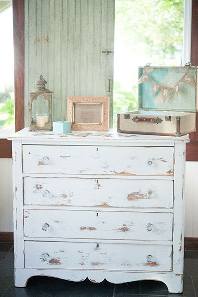 Timeless Woods Timeless Woods