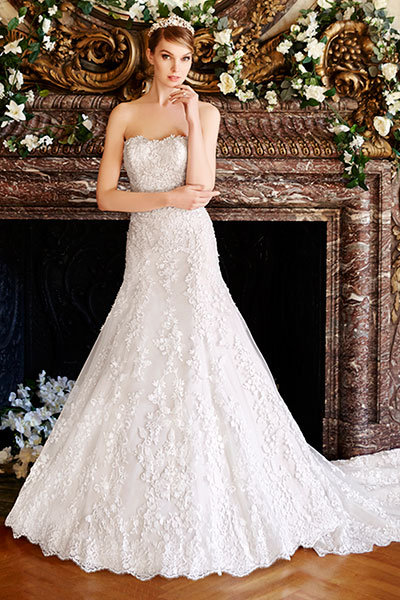 Moonlight Collection