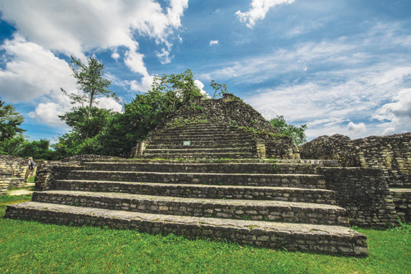 What to Do What to Do