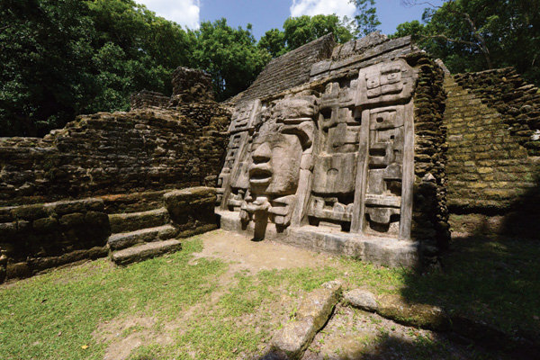 What to Do What to Do