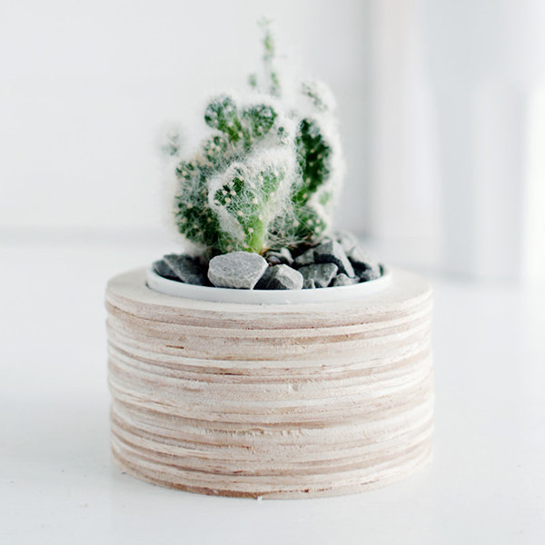 Plants Plants