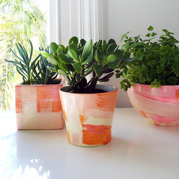 Plants Plants
