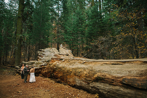 Yosemite National Park Yosemite National Park
