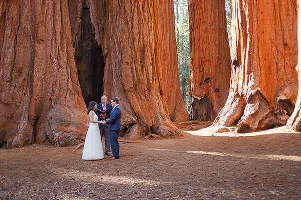 Sequoia National Park Sequoia National Park