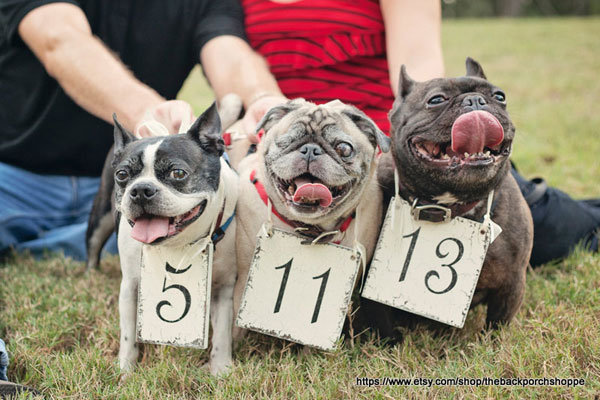 Enchanting Stationery  Enchanting Stationery