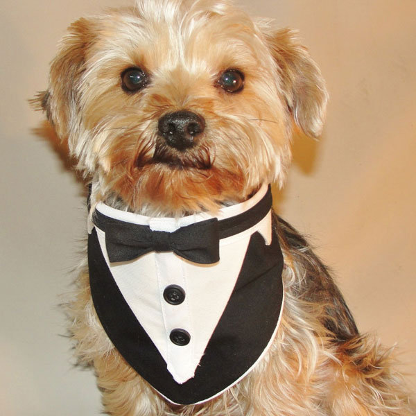 Member of the Wedding Member of the Wedding