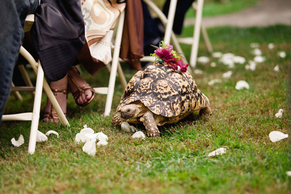 Member of the Wedding Member of the Wedding