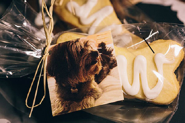 Creative Pet-Themed Favors Creative Pet-Themed Favors