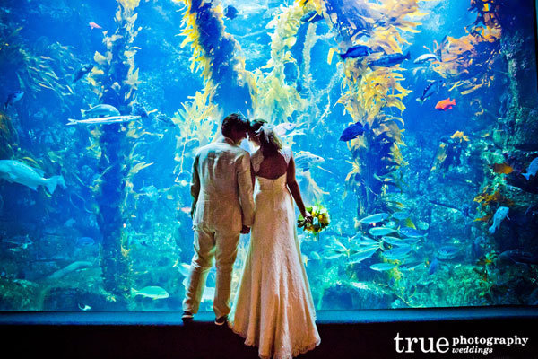 Must-Have Photos for Animal Lovers Must-Have Photos for Animal Lovers