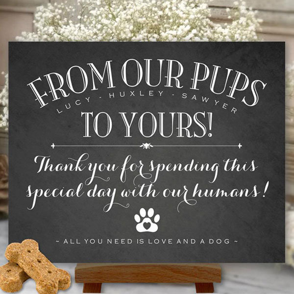 Creative Pet-Themed Favors Creative Pet-Themed Favors