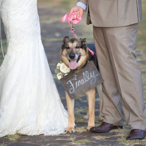 Must-Have Photos for Animal Lovers Must-Have Photos for Animal Lovers