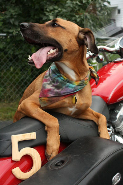 Join the Party Join the Party