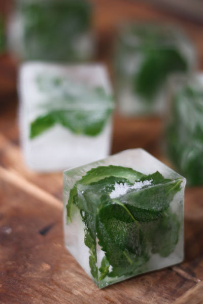 Ice Cubes Ice Cubes