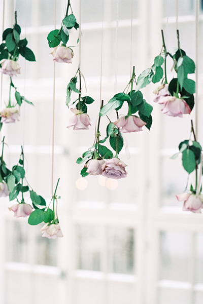 Suspended Florals Suspended Florals