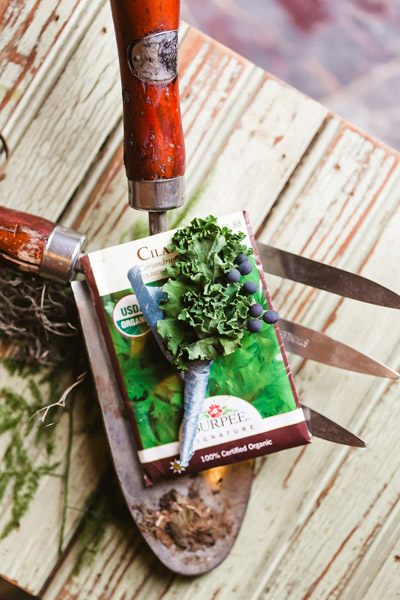 Peter Rabbit Wedding Theme