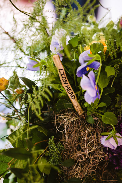 Peter Rabbit Wedding Theme