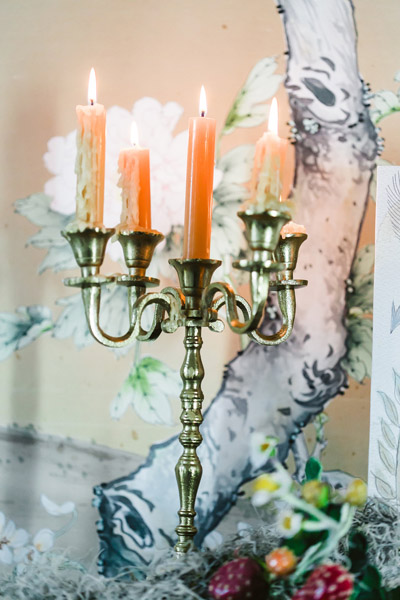 Peter Rabbit Wedding Theme