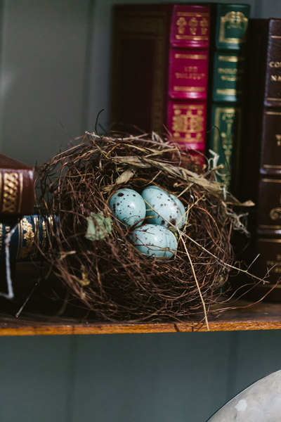 Peter Rabbit Wedding Theme