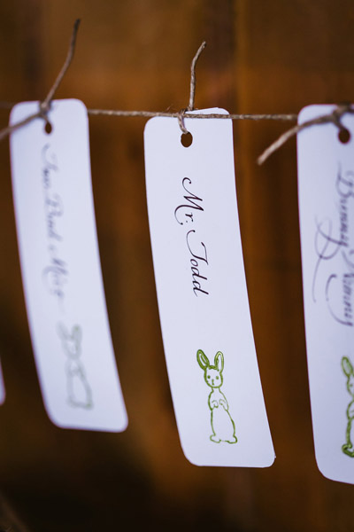 Peter Rabbit Wedding Theme