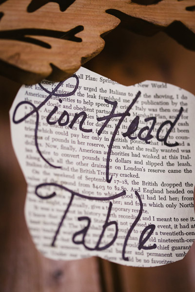 Peter Rabbit Wedding Theme