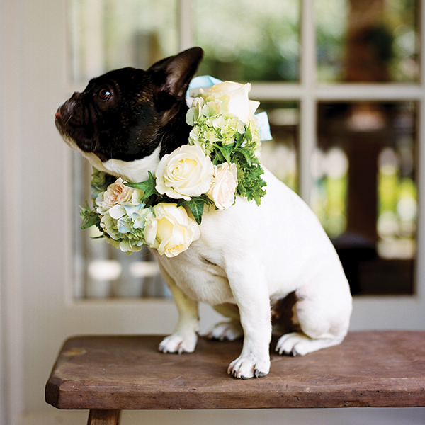 Show-Stopping Ideas for Your Wedding Flowers | BridalGuide