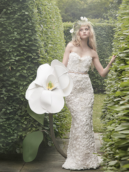 Wild Flower Wild Flower