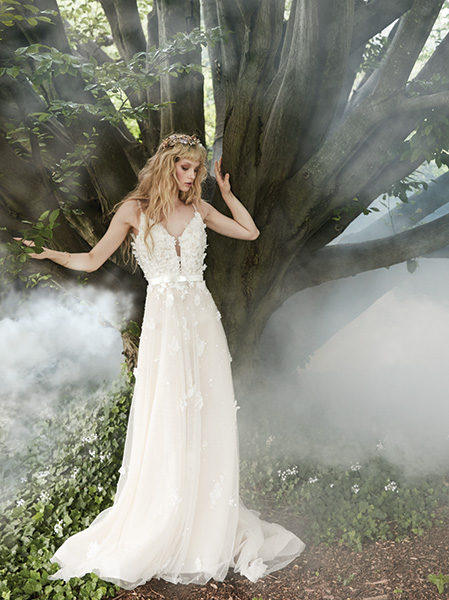 Into the Woods Into the Woods