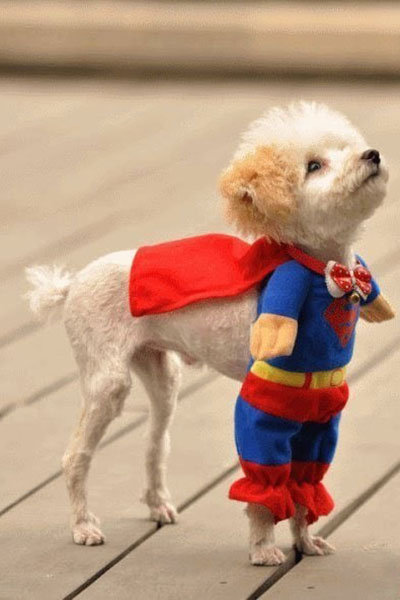 Flower Girls & Ring Bearers