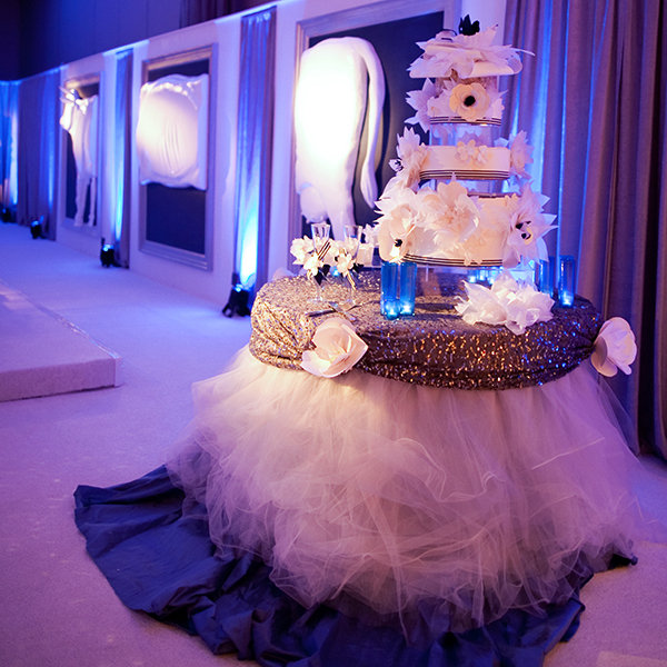 Tulle Skirt Tulle Skirt