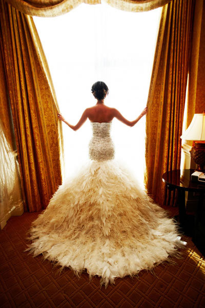 Did You See the Back of That Dress? Did You See the Back of That Dress?