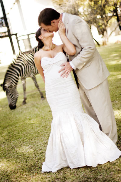 Animal Wedding Crashers Animal Wedding Crashers