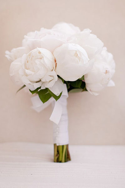 Flower Guide: Peonies | BridalGuide